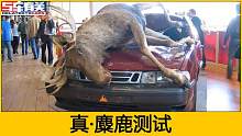 麋鹿测试重要吗？到底测试的是什么，星途TX测出95KM/H是什么水平