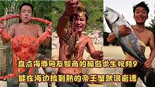 盘点侮辱网友智商的孤岛求生视频9！能捡到熟的帝王蟹这就很离谱