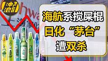 职业经理人VS大股东：私募入股、资本诱骗、老板出局，解读日化龙头上海家化之殇【中国商业史31】上集