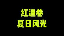 《红道巷夏日美景分享》~内蒙古奥捷平行进口车如意店