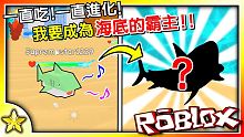 【Roblox 模擬遊戲】一款既紓壓又刺激的海底獵殺遊戲！全力狩獵成為海底霸主吧！Shark Evo
