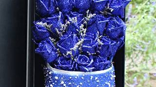 蓝色妖姬玫瑰花，根本不存在，喜欢蓝色的月季，可以试试蓝色风暴