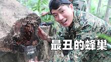 像酸梅汁一样的蜂蜜，一斤甚至能卖到800元，这样的蜂蜜你吃过吗？靓仔带大家到热带雨林寻找各种各样的蜂