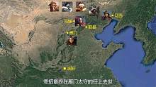 曹叡为什么要将田豫调离北方边境，鲜卑统帅轲比能是怎样被暗杀的