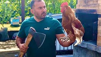 巴西精神小伙戶外直播_巴西精神小伙視頻直播 - 虎牙直播