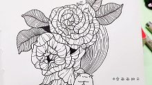 针管笔花卉教程，线条画起来很解压，新手就能学会