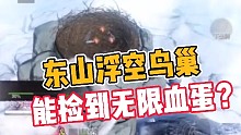 妄想山海:东山浮空鸟巢，能捡到无限血蛋？