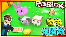 帶著各種可愛的寵物軍團出發囉！寵物模擬器(全中文遊戲)！機器磚塊 Roblox【至尊星】