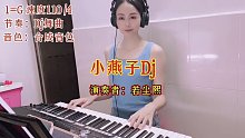 电子琴演奏《DJ小燕子》，电影《护士日记》插曲