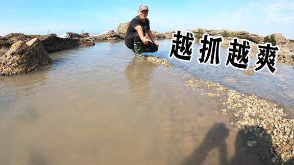 我是一颗小虎牙