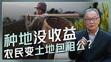种地没收益，农民摇变吃租客？机会主义让农民走上了“邪路”？