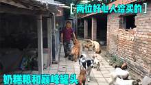 两个哥哥，给毛孩子们买了狗粮和罐头，给毛孩子改善生活！