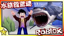 【Roblox 恐怖劇情冒險】 前往新建成的【水族館】進行校外參觀教學卻突然遭到【恐怖鯊魚】追殺！ 