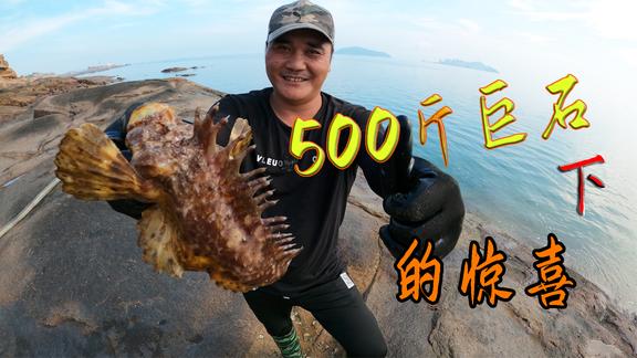 我是一颗小虎牙
