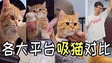 模仿各大平台的风格吸猫，你最喜欢哪一个？（第二期）