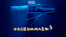 我发布了一个新视频，快来围观吧！