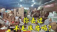 探店华北地区最大羊毛库房，倒爷的真实一天，唐山老板摊牌了