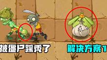 植物大战僵尸：潜行开口箭头发被踩秃了？怎么解决这个问题！