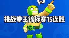 挑战只用拳王十五连胜！！！！