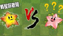 植物大战僵尸：星星果Vs天使星星果！它们究竟有何关系？