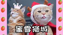 【猫咪版】蜜雪冰城