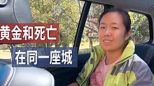 【张昕宇梁红】被誉为天堂的约翰内斯堡，藏着无数危险和黑暗
