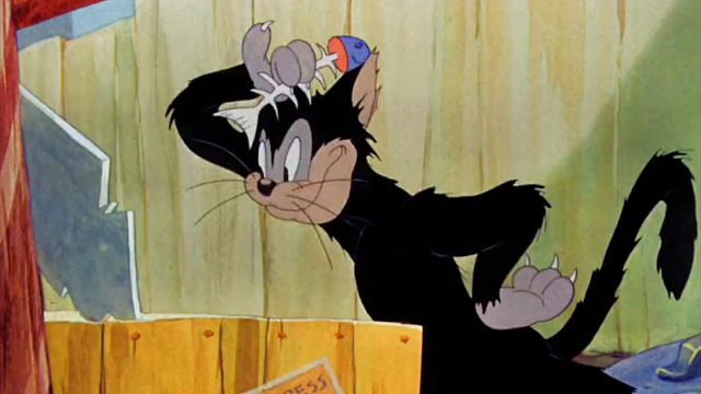 《猫和老鼠》:耍帅第一名——布奇!