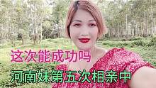 朋友介绍河南妹和广东人在小树林里相亲中，五次相亲了能成功吗？