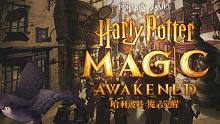 《哈利波特：魔法觉醒》快来加入霍格沃兹魔法学校吧