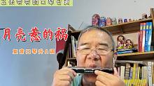 月亮惹的祸-复音口琴升A调 | 很好听的一首歌（自学口琴，吹的不好请多见谅）