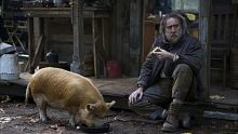 救猪行动 PIG （2021）