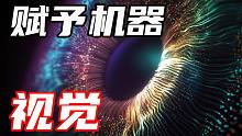 视觉系统的发展，将会引起机器人的寒武纪？