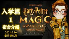 【哈利波特魔法觉醒】入学指南1：入学篇