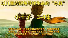 【有声书】—《小王子》3-4集