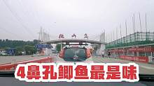 坐轮渡进微山岛，吃渔家宴，4鼻鲤鱼最是味，听铁道游击队的故事