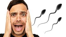 The World Is RUNNING OUT of SPERM! Is This The End
