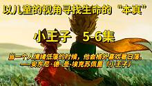 【有声书】—《小王子》5-6集
