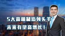 5大高端制造领头羊，未来有望获得高增长！