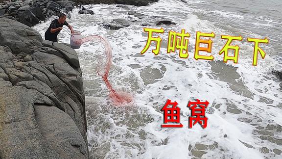 欢迎来到吴哥赶海的直播间