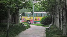 我们不要在黑暗里相爱，要在光明里私奔
