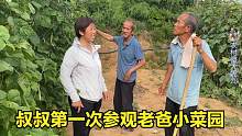 叔叔第一次参观老爸小菜园，中途提合理规划意见，哥俩越说越高兴