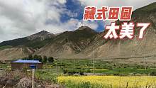 西藏总是多种美景重叠，雪山下的油菜花开了，一派藏式田园太美了