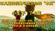 【有声书】—《小王子》7-8集