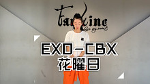 【Faustine舞团-崽儿】EXO-CBX 花曜日 翻跳