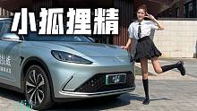 这只小狐狸有多“精明”？试极狐阿尔法S