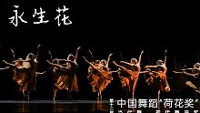 《永生花》第十二届中国舞蹈“荷花奖”当代舞、现代舞评奖参评作品