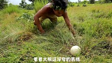 阿三哥荒野丛林吃出新花样！