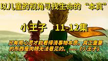 【有声书】—《小王子》11-12集