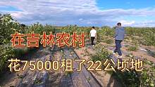在吉林农村，小兄弟花了75000租了22公顷地，你觉得贵吗？