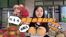 泰国姑娘：这些热带水果，不好看但好吃，你吃过吗？